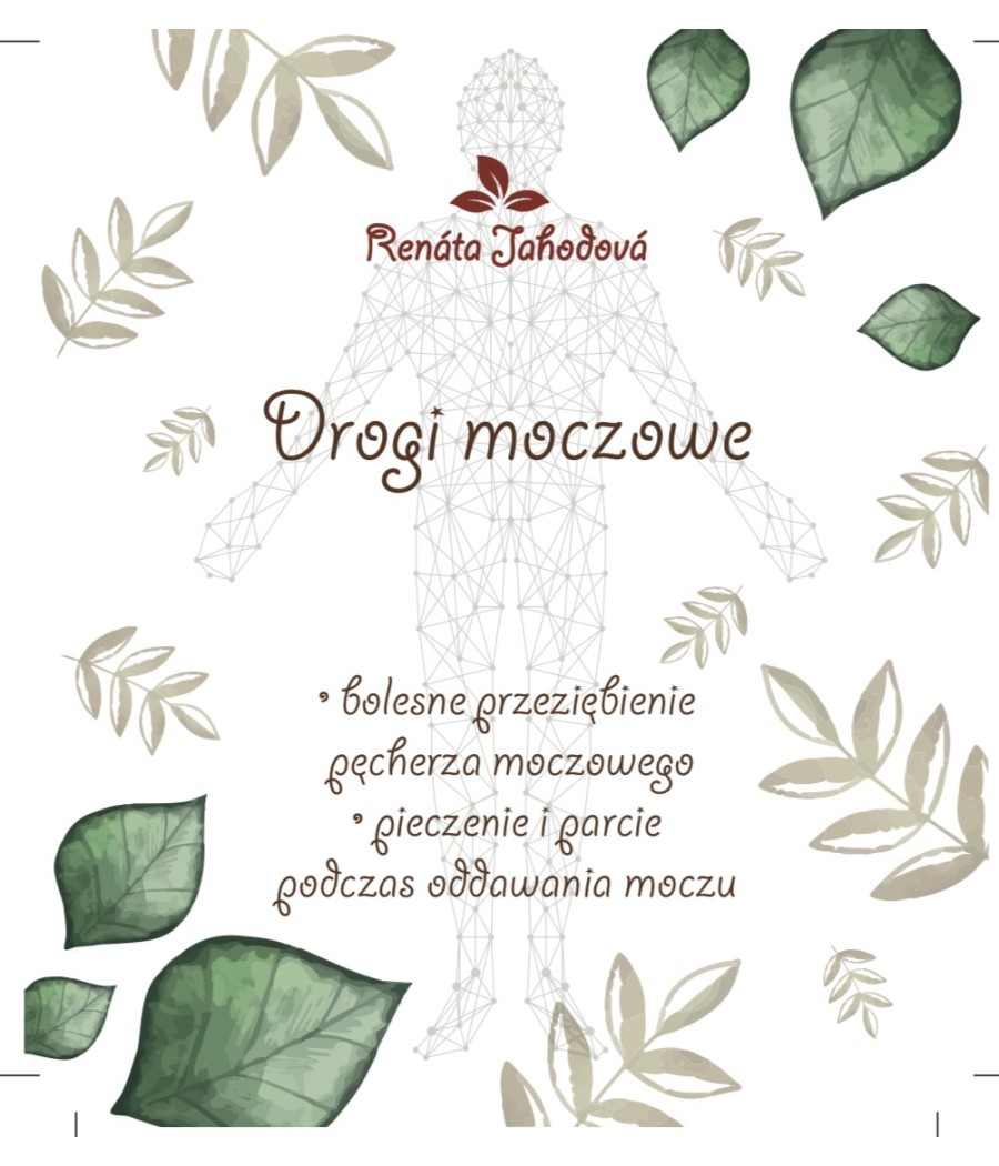 Drogi moczowe