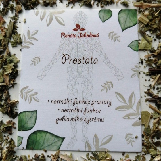 Prostata