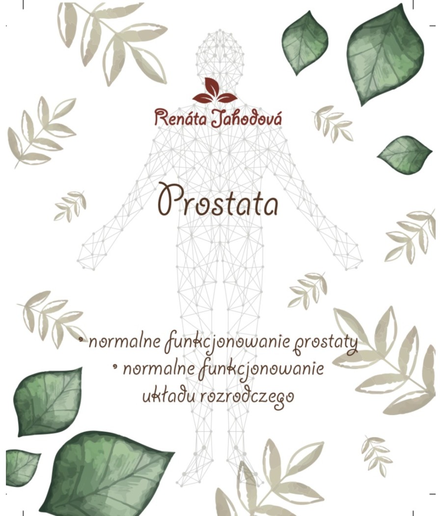 Prostata